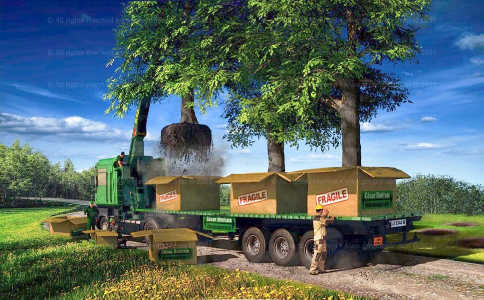 gregcirade.com-SVJ-camion+arbres-v05